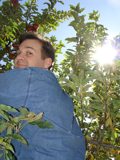 We picked apples in Sarah's back yard. Here I am on a ladder, up in the tree.