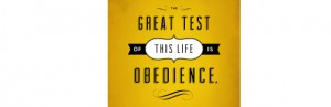 The great test of this life is obedience.